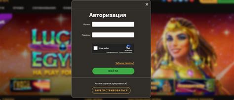 Казино playdom личный кабинет