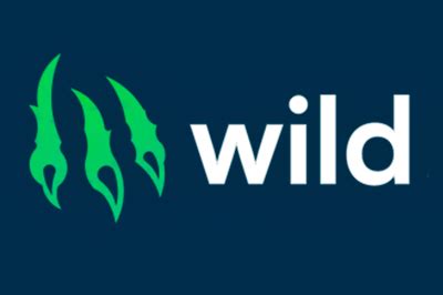 Казино wild-io на деньги